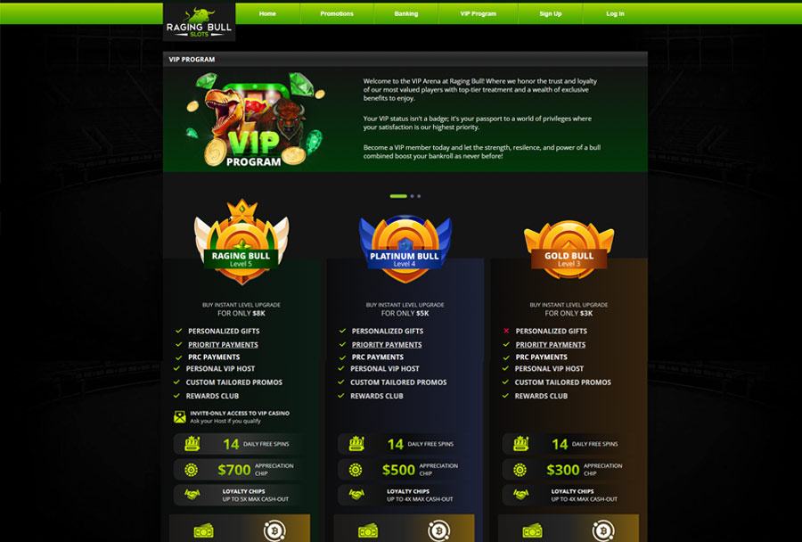 VIP and loyalty program